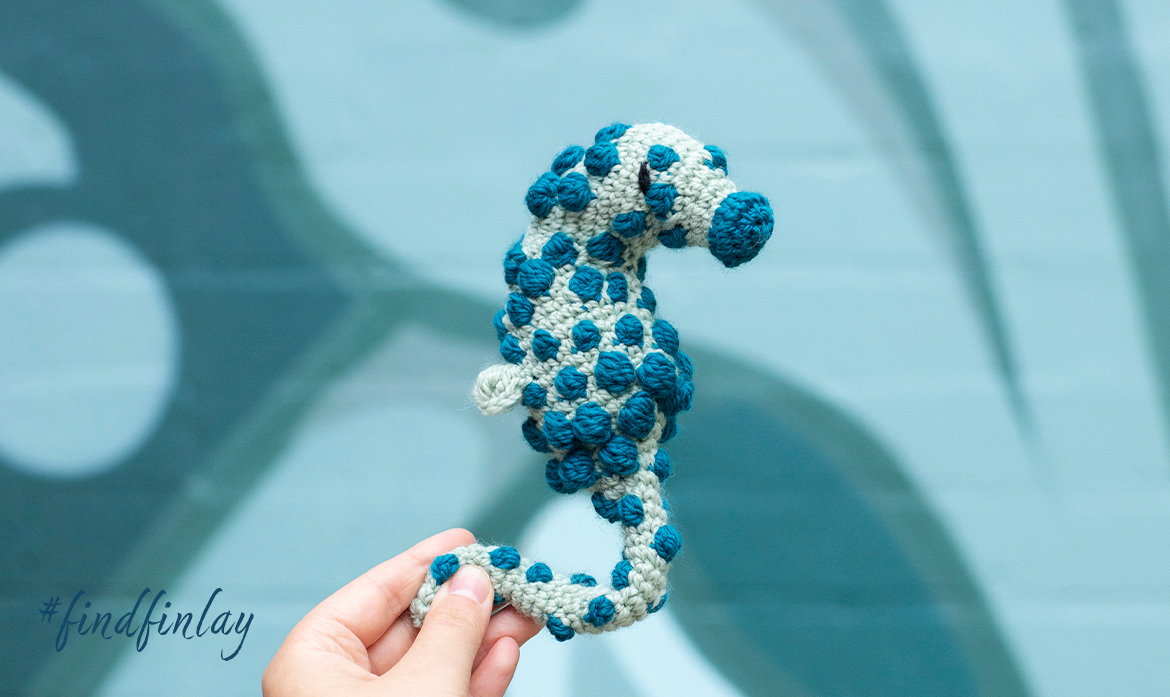 summer competition pygmy seahorse join photography win goody bags teal